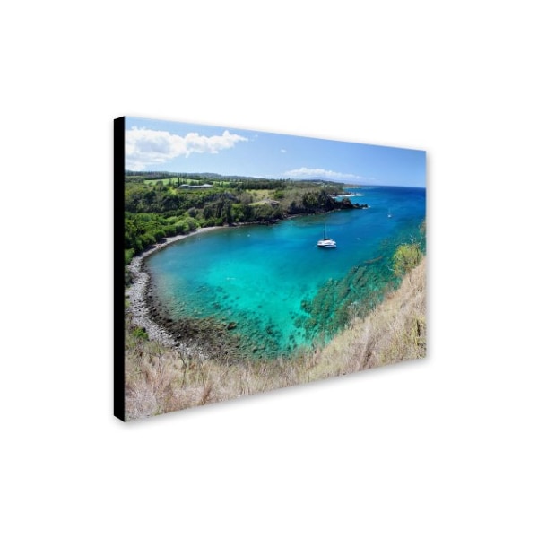 Pierre Leclerc 'Honolua Bay' Canvas Art,14x19